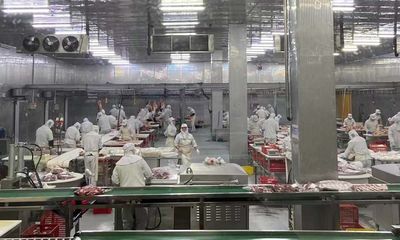 保质保量提供畜禽产品 | 宁津:畜禽生产企业复工,群众吃肉不用愁